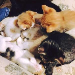 Meet your Posher, Jewel